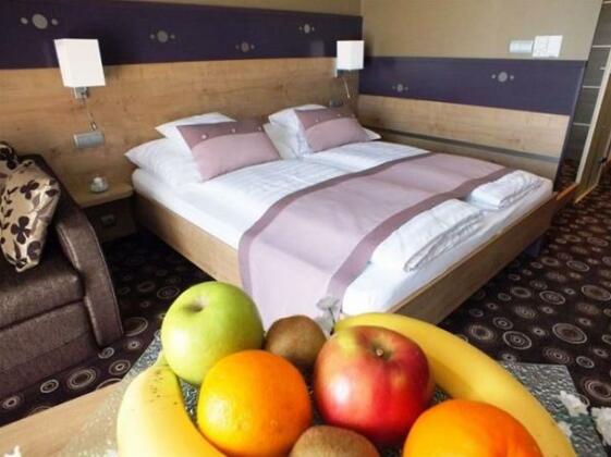 Wellness Hotel Katalin - Photo4