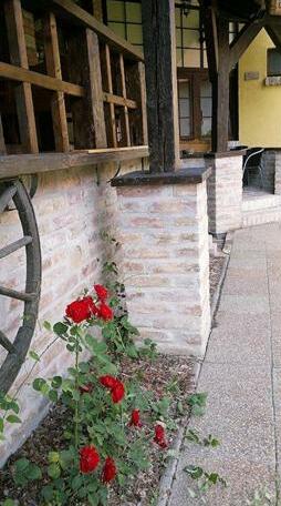 Apartman Z - Photo5