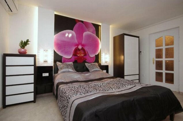 Regina Delux Apartman - Photo2