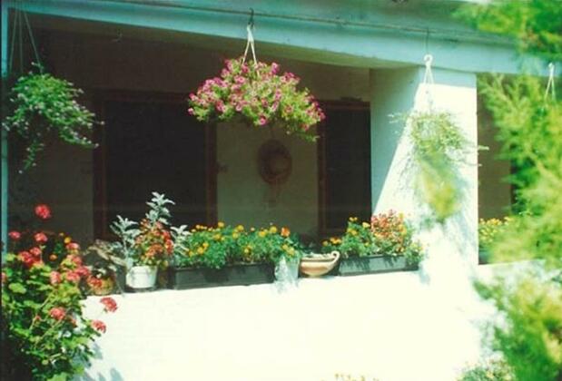 Vali Vendeghaz Gyula - Photo2