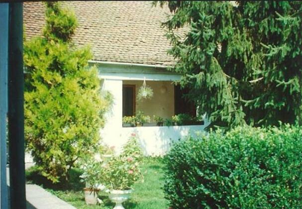 Vali Vendeghaz Gyula - Photo3