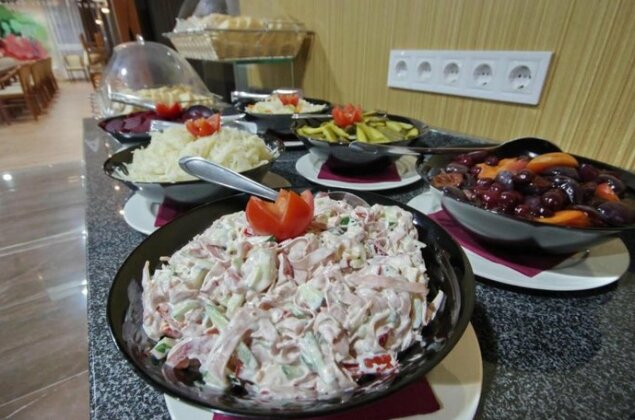 Villa Harmonia Gyula - Photo5