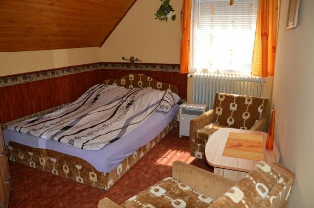 Apartman Aniko Vendeghaz - Photo4