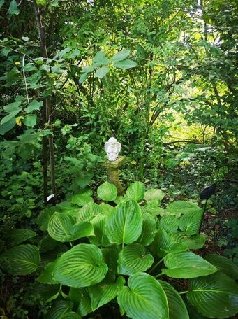 Arlekin Apartman - Photo5