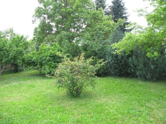 Budai Garden House - Photo3