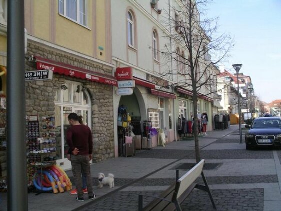 Centrum Apartman Heviz - Photo2