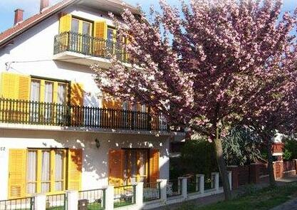 Corona Villa - Photo2