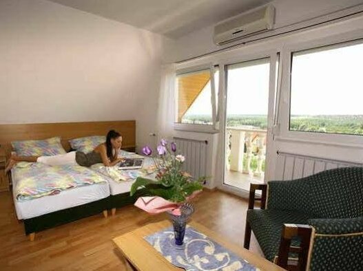Gelencser Pension - Photo3