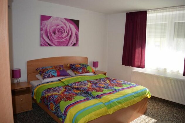 Salve Apartment Heviz - Photo5