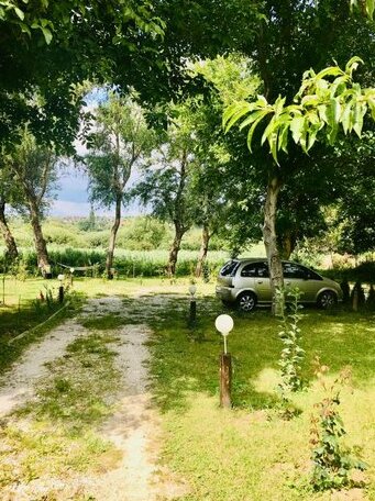 Sunny & Green - Photo4