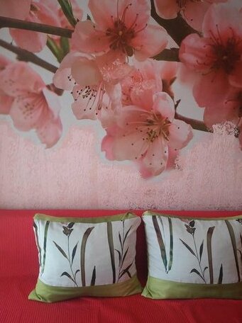 Valloris Apartments - Photo5