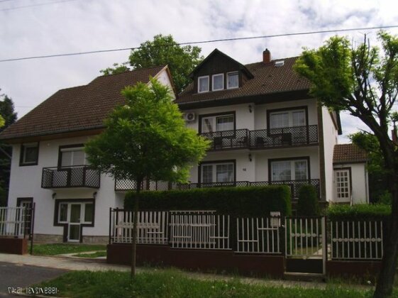 Villa Maria Heviz - Photo3
