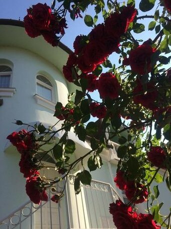 Villa Valeria Heviz - Photo3