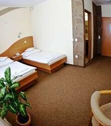Granada Conference Wellness and Sport Hotel - Photo3