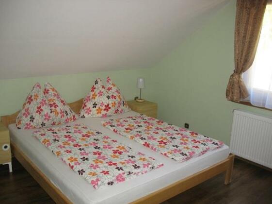 Okapy - Photo3