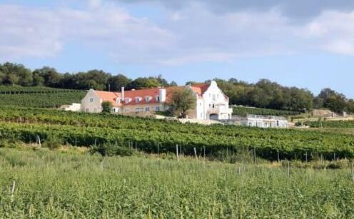 Liszkay Vineyard Estate - Photo2
