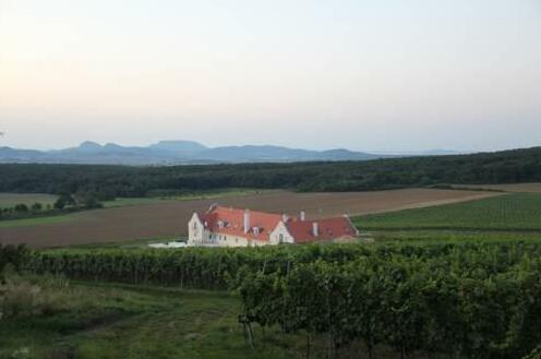 Liszkay Vineyard Estate - Photo4