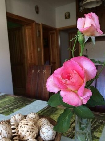 Hajdar Farm Vendeghaz - Photo3