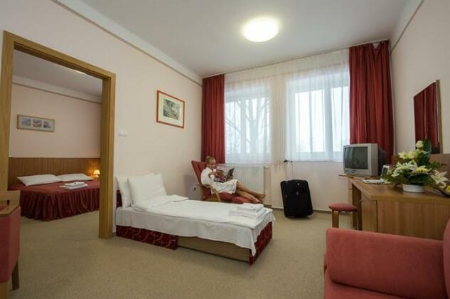 Alfold Gyongye Hotel - Photo4