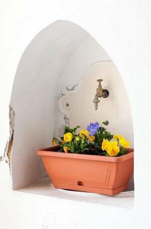 Masi Apartman - Photo4