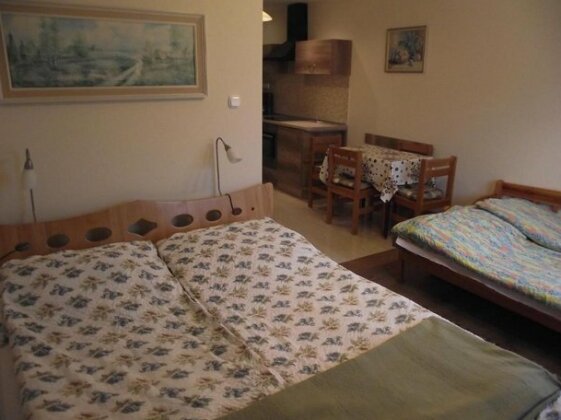 Besenyei Apartman - Photo3