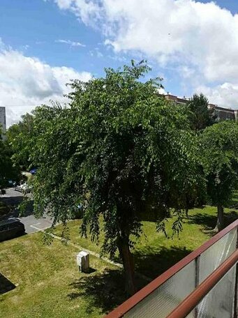 B&K Apartman - Photo3
