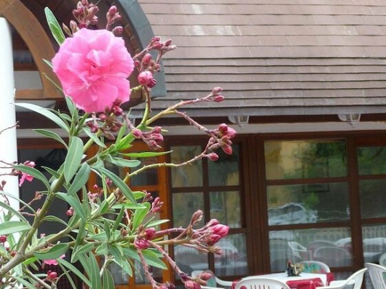 Oleander B&B Siofok - Photo2
