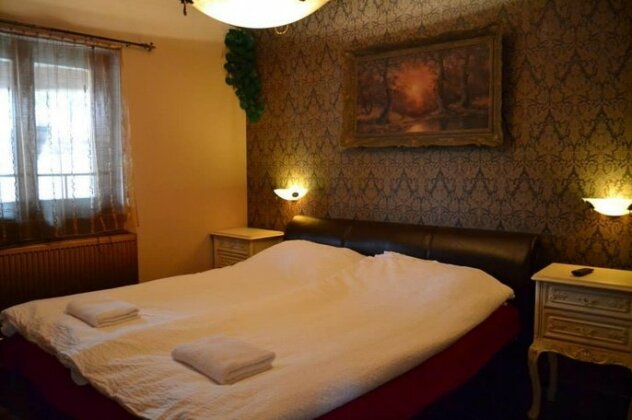 Villa Medici Vendeghaz - Photo5