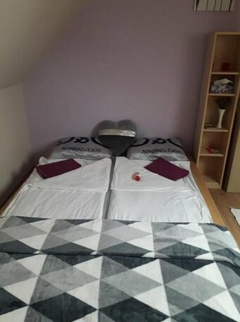 Bekes Vendeghaz - Photo5