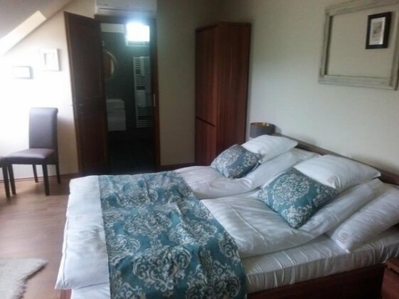 Vass-Villa Vendeghaz - Photo5