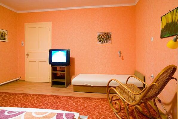 Visegrad Vendeghaz-Apartman - Photo4