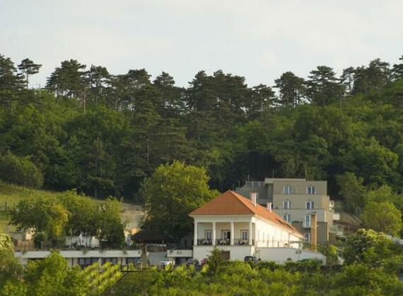 Zenit Wellness Hotel Balaton - Photo3