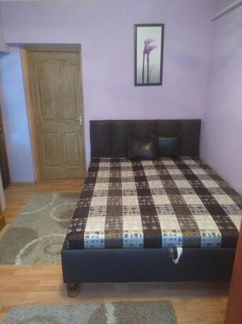 Erna apartman - Photo2