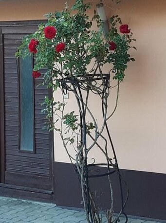Herkules apartman - Photo4