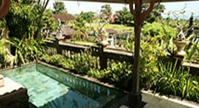 Tirtagangga Water Palace Villas - Photo2