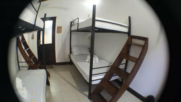 Pura Vida Bungalows - Photo3