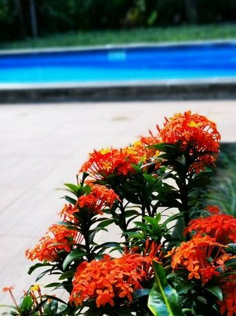 Villa Nongsa luxury villa with private swimming pool - Photo3