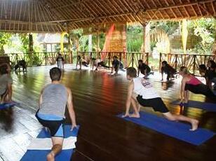 Shankari's Bali Retreat - Photo3