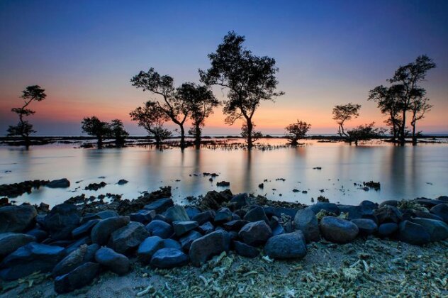 Marina Anyer Villa & Resort - Photo2