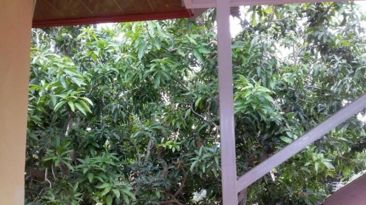 Homestay Aceh Syariah - Photo4