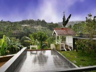 Amethyst Dago Resort M-65