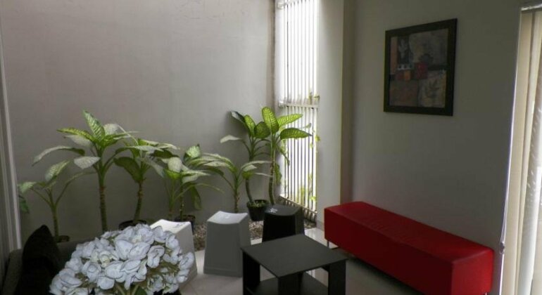 Sisco Bed and Breakfast - Photo3