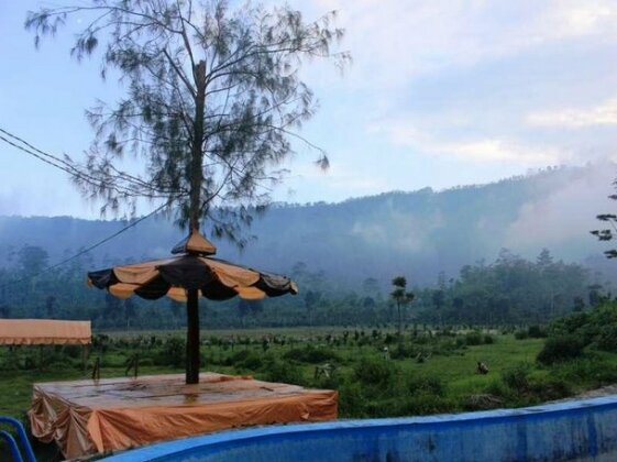 Arabica Hotel - Photo4