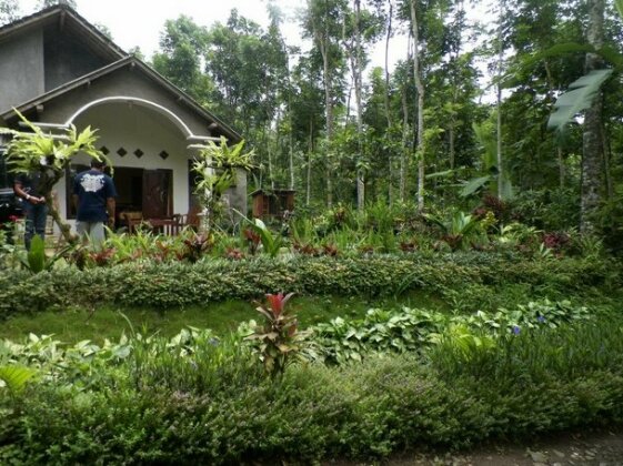 Hadi Homestay