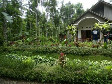 Hadi Homestay