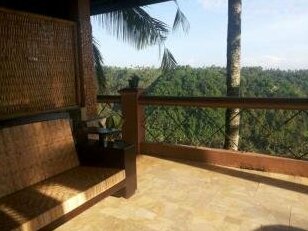 Ijen Cliff Resort - Photo4