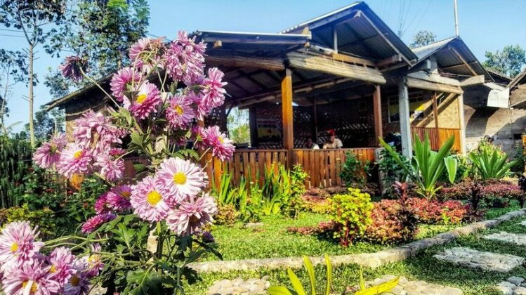 Ijen Miner Family Homestay - Photo2