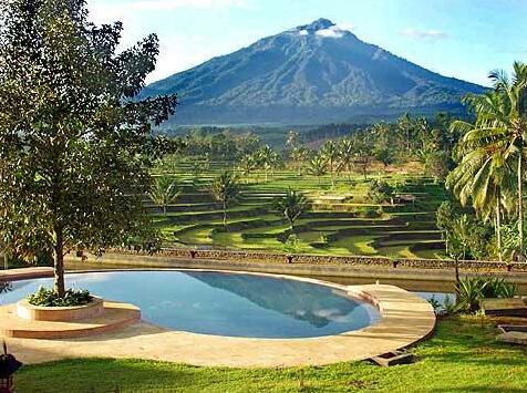 Ijen Resort and Villas - Photo5