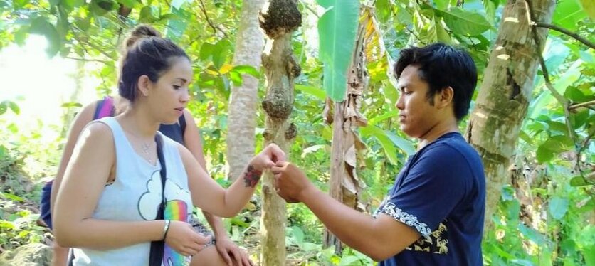 Ijen Youth Homestays - Photo3