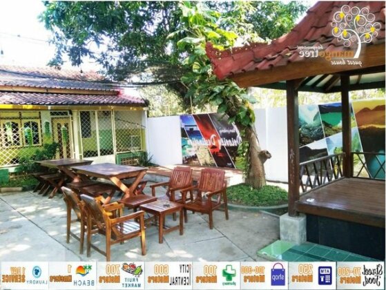 Mango Tree Guest House - Photo2